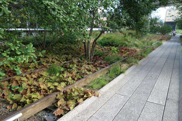High Line cosa vedere New York in una settimana