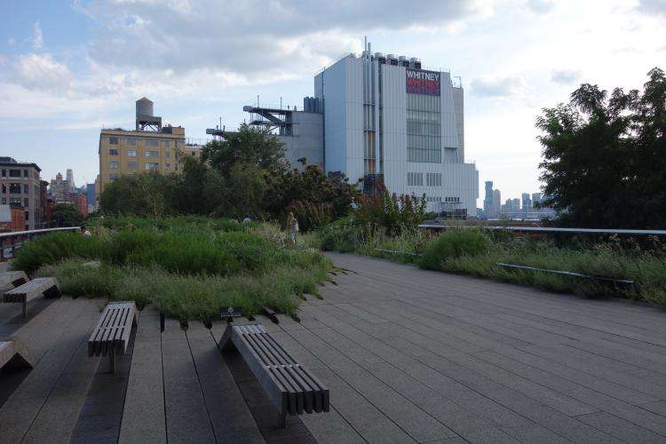 High Line cosa vedere New York in una settimana