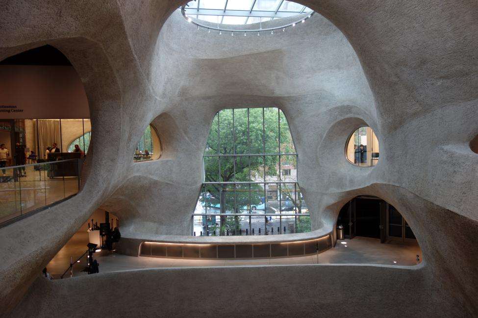 Museo di storia naturale di New York cosa vedere in una settimana Museo di storia naturale di New York cosa vedere in una settimana
