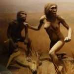 Museo di storia naturale di New York cosa vedere