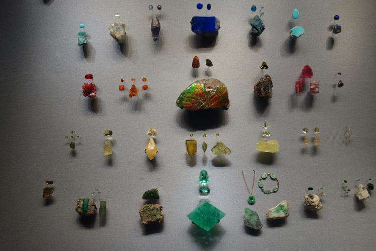 Museo di storia naturale di New York cosa vedere e dove andare