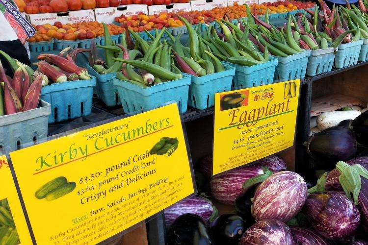 Union Square mercato cosa vedere a New York