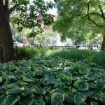 WASHINGTON SQUARE PARK NEW YORK COSA VEDERE Washington Square Park cosa vedere New York