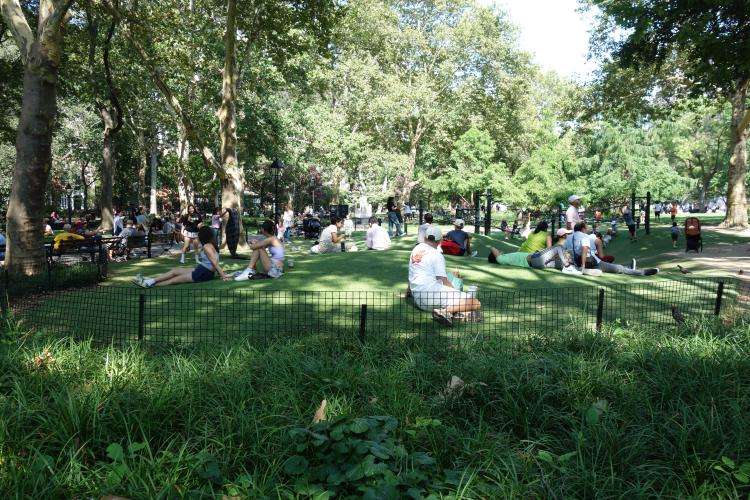 Washington Square Park cosa vedere a New York