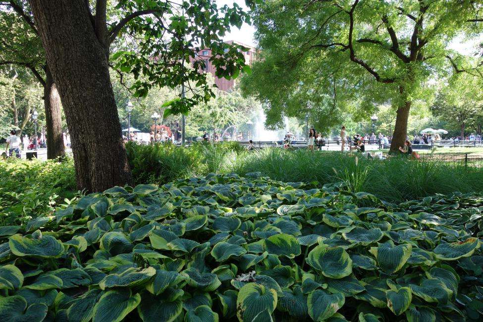 Washington Square Park cosa vedere New York Washington Square Park cosa vedere New York