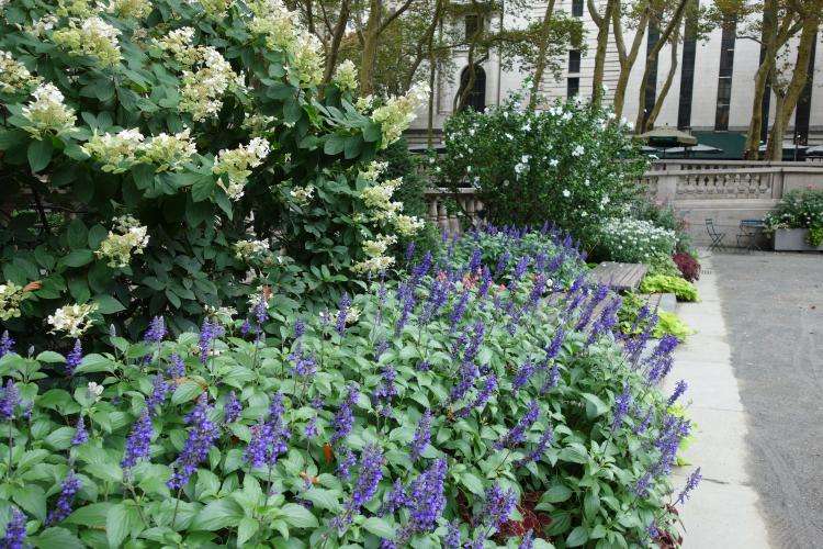 Bryant Park cosa vedere New York
