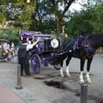 Central Park cosa vedere New York