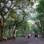 Central Park cosa vedere a New York