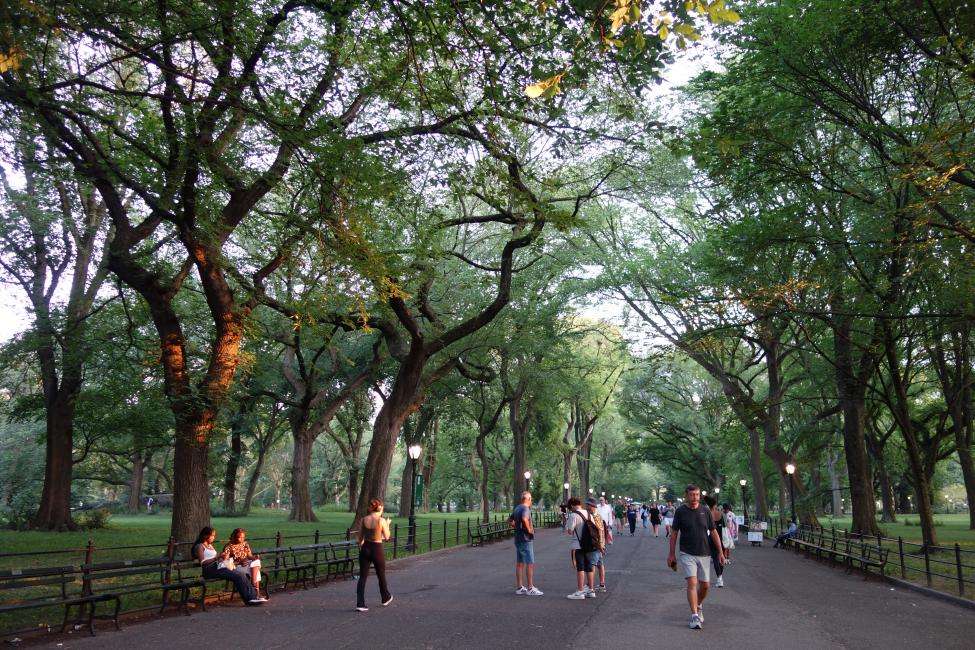 Central Park cosa vedere a New York
