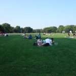 Central Park cosa vedere New York