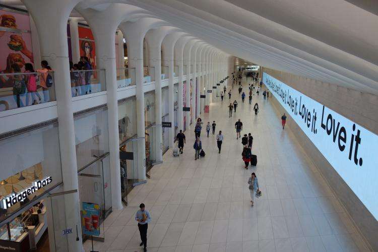 World Trade Center Transportation Hub cosa vedere New York