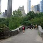 Central Park cosa vedere New York