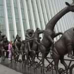 Oculus cosa vedere New York