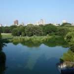 Central Park cosa vedere New York