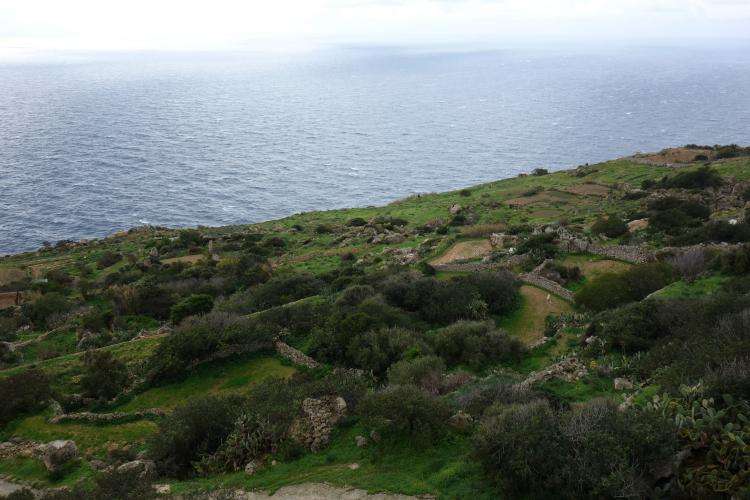 Dingli Cliffs cosa vedere Malta