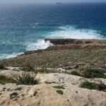 Filfla cosa vedere Malta