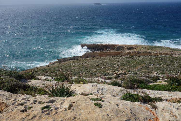 Filfla cosa vedere Malta