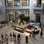 MUSEO STORIA NATURALE DI WASHINGTON COSA VEDERE Museo Nazionale di Storia Naturale di Washington cosa vedere