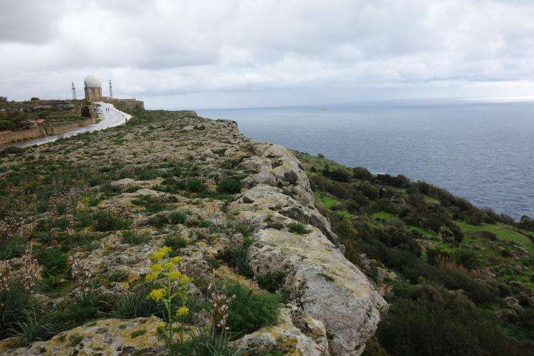 Dingli Cliffs cosa vedere Malta