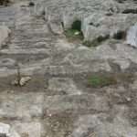 Cart Ruts cosa vedere Malta