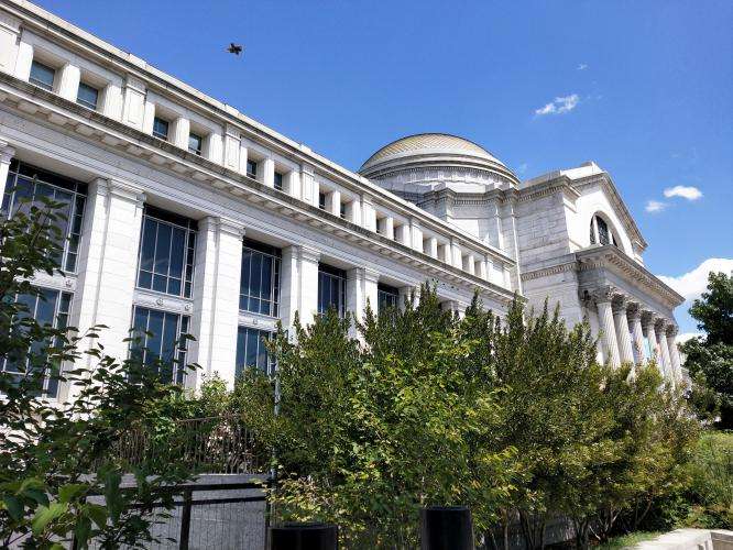 Museo Nazionale di Storia Naturale di Washington cosa vedere