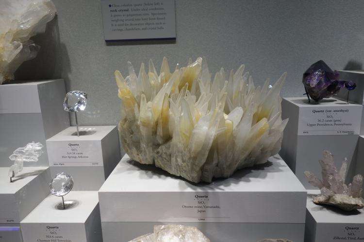 Museo Nazionale di Storia Naturale di Washington cosa vedere
