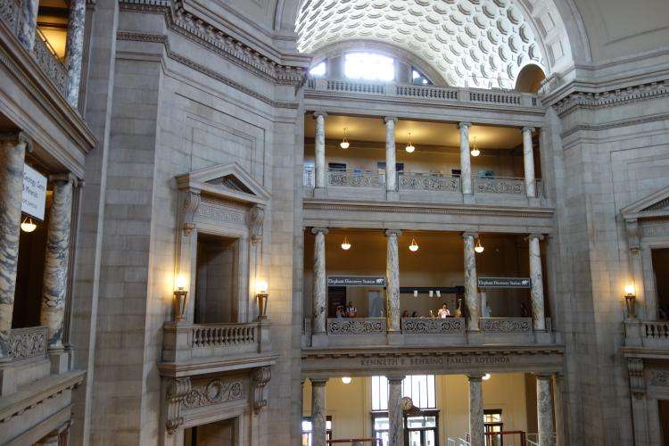 Museo Nazionale di Storia Naturale di Washington cosa vedere