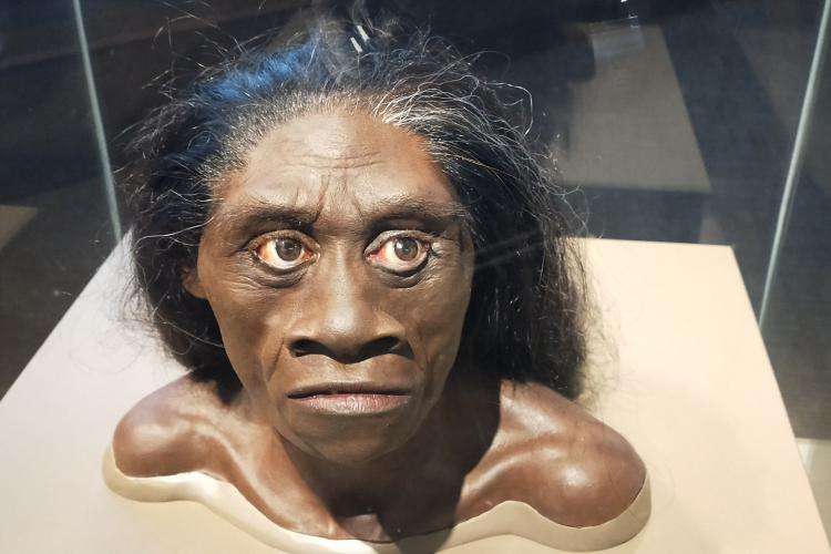 Museo Nazionale di Storia Naturale di Washington cosa vedere
