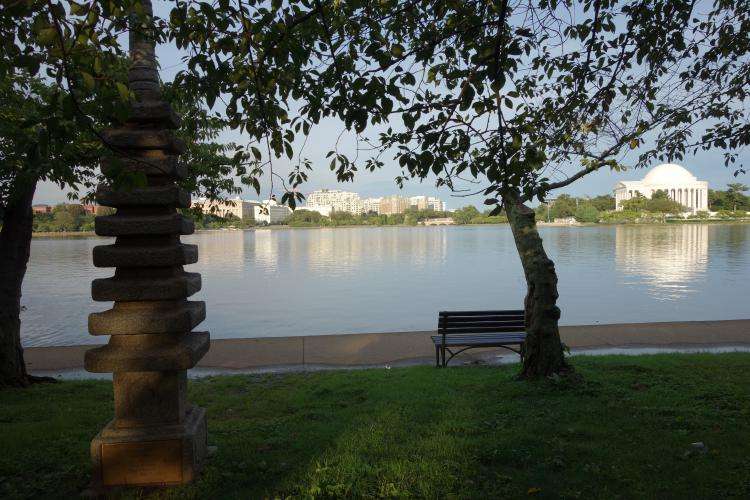 Tidal Basin cosa vedere Washington