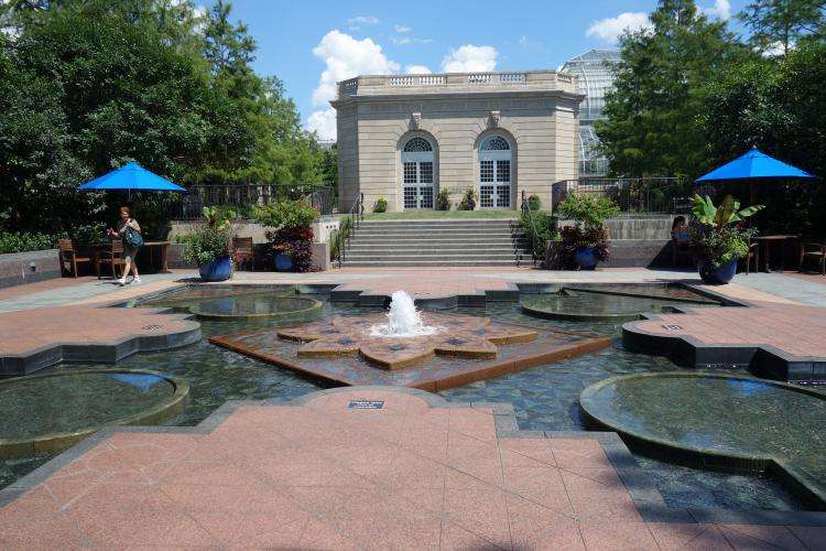 Giardino Botanico degli Stati Uniti a Washington cosa vedere