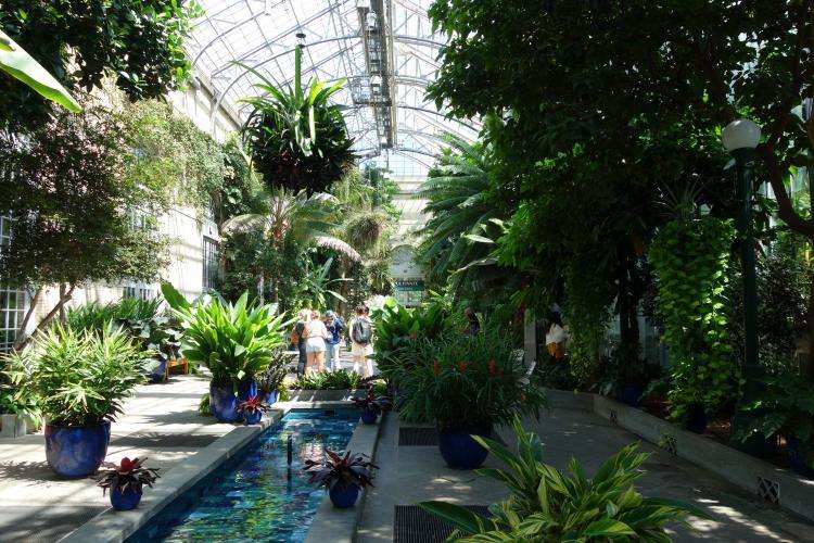 Giardino Botanico degli Stati Uniti a Washington cosa vedere
