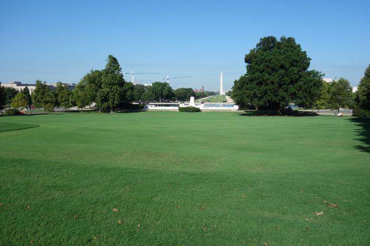 National Mall cosa vedere Washington