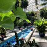 Giardino Botanico degli Stati Uniti a Washington cosa vedere