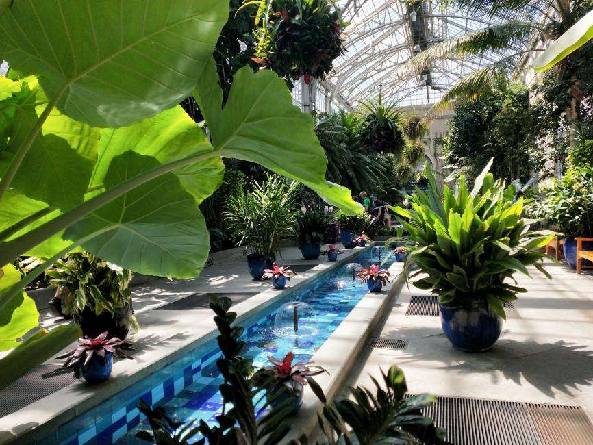 Giardino Botanico degli Stati Uniti a Washington cosa vedere Giardino Botanico degli Stati Uniti a Washington cosa vedere