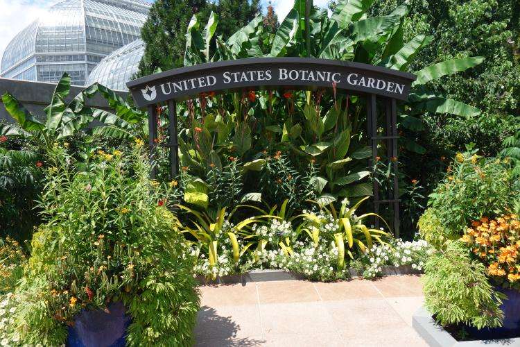 Giardino Botanico degli Stati Uniti a Washington cosa vedere