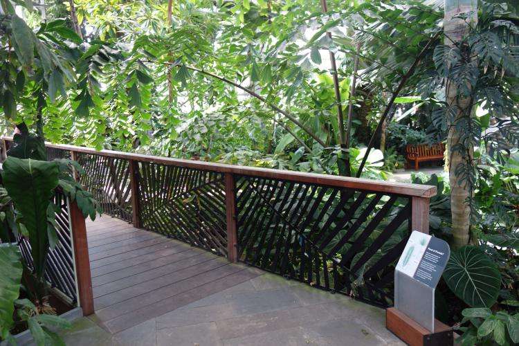 Giardino Botanico degli Stati Uniti a Washington cosa vedere