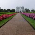 CURITIBA GIARDINO BOTANICO COSA VEDERE BRASILE Curitiba cosa vedere Brasile on the road
