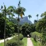 Giardino botanico di Rio de Janeiro cosa vedere