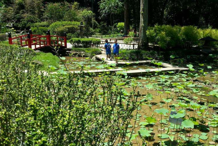 Giardino botanico di Rio de Janeiro cosa vedere