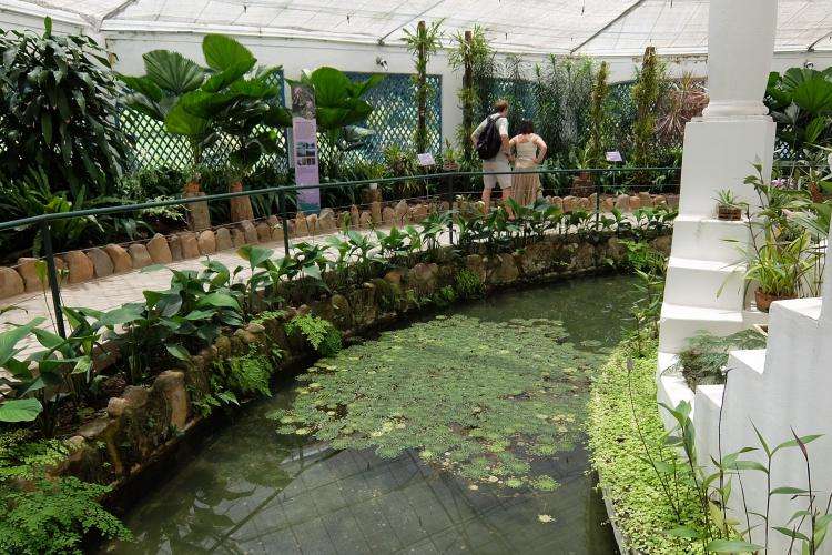 Giardino botanico di Rio de Janeiro cosa vedere