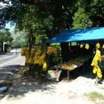 PENEDO E SAN PAOLO BRASILE cosa vedere Brasile on the road cosa vedere