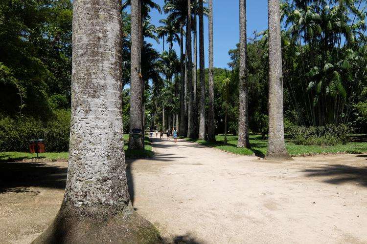 Giardino botanico di Rio de Janeiro cosa vedere