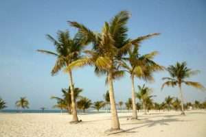 Al Mamzar Beach cosa vedere Dubai