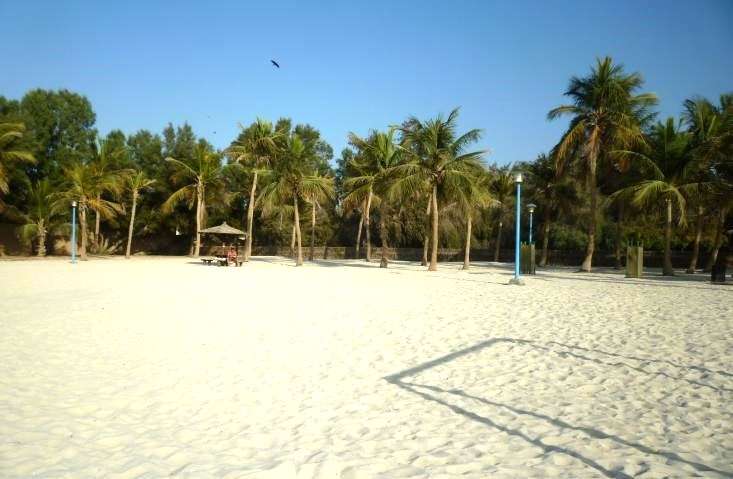 Jumeirah Beach cosa vedere Dubai