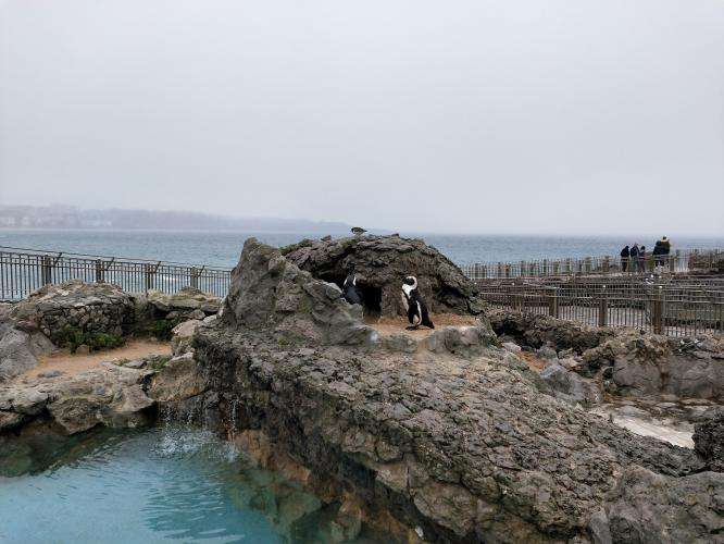 Santander cosa vedere Spagna on the road