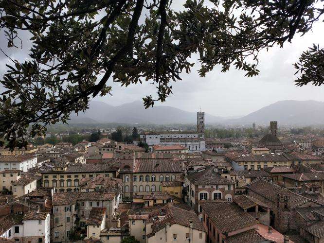 Luca cosa vedere in un giorno