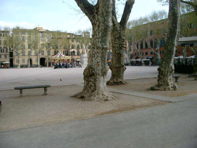 Lucca cosa vedere in un giorno