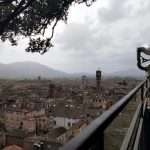 Torre Guinigi cosa vedere a Lucca