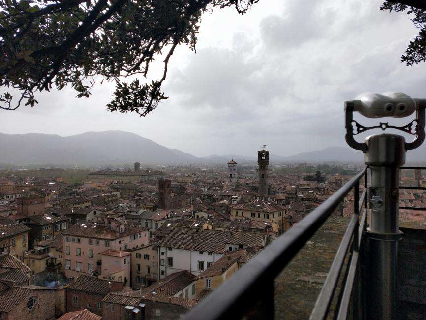 Torre Guinigi cosa vedere a Lucca Torre Guinigi cosa vedere a Lucca