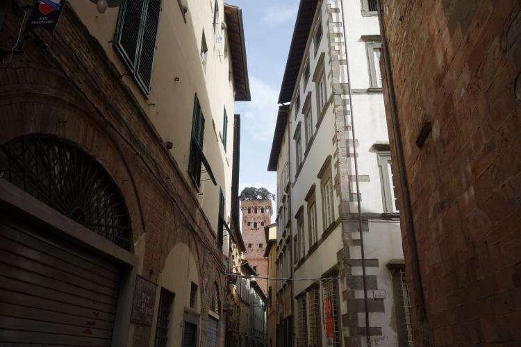 Torre Guinigi cosa vedere Lucca